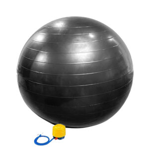 Swiss Exercise Ball